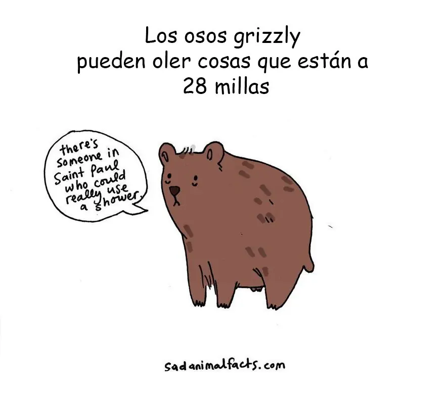 datos curiosos datos curiosos