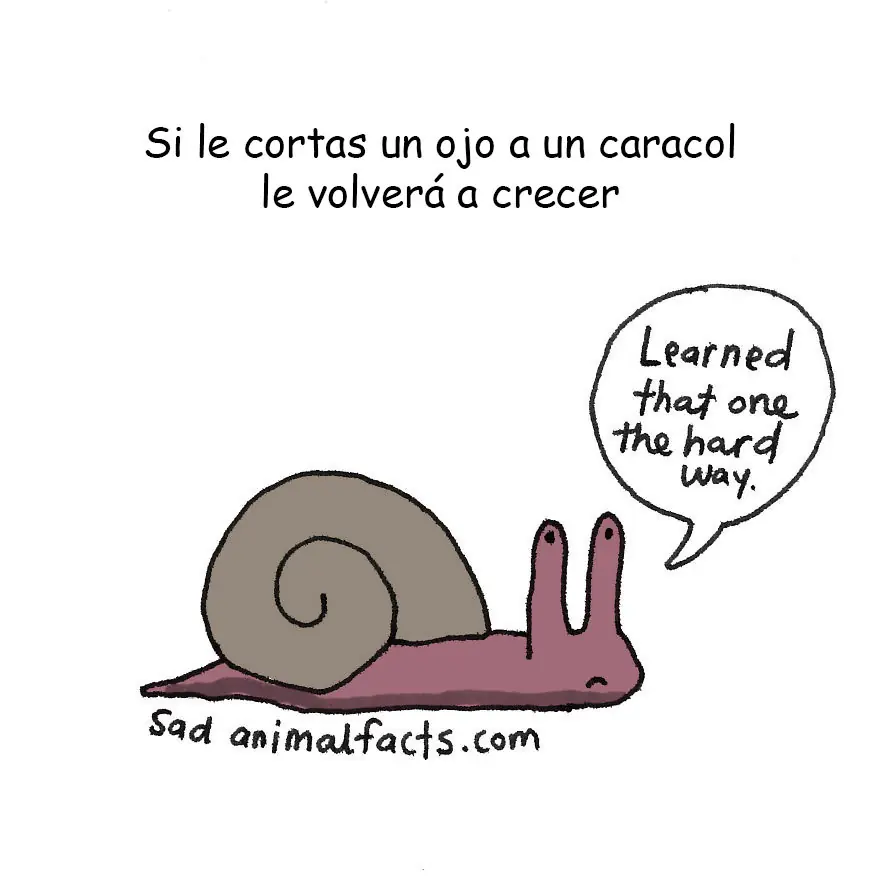 curioseando curioseando