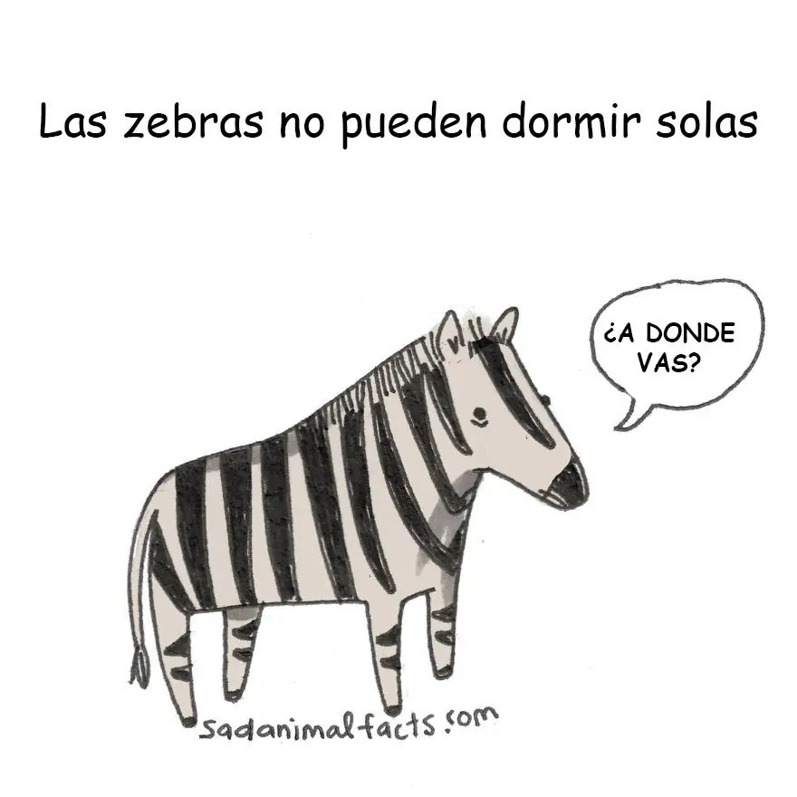 20 Curiosidades muy Tristes sobre Animales 20 Curiosidades muy Tristes sobre Animales