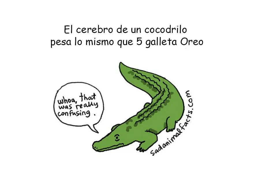 cosas que no sabias cosas que no sabias