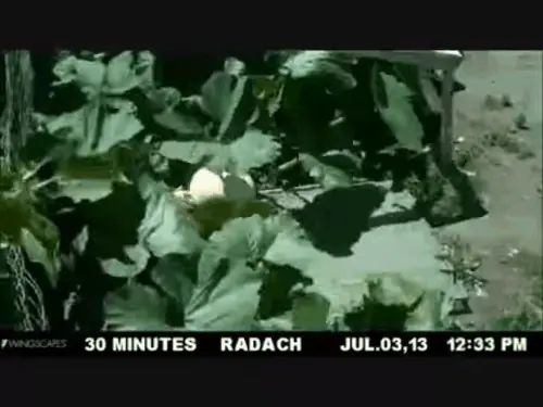 Avances de mi pequeña huerta [Certificada]