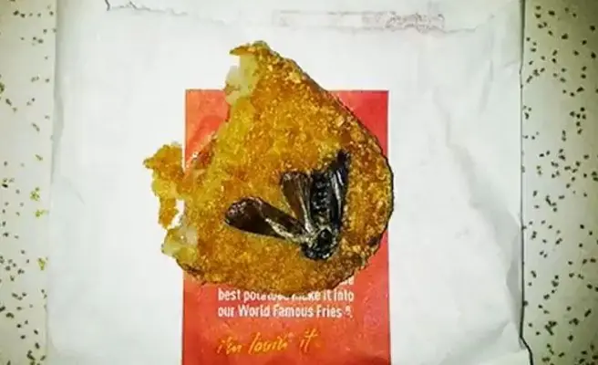 asquerosas asquerosas