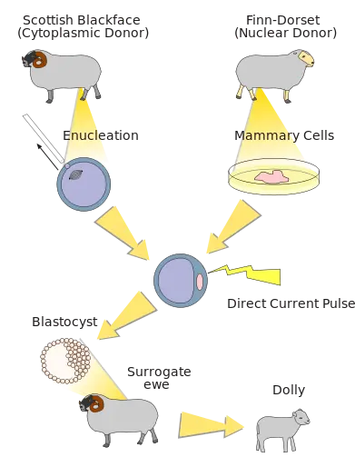 investigacion investigacion