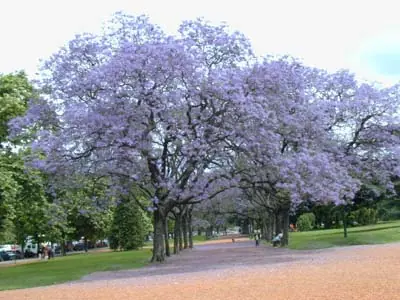 biologia biologia