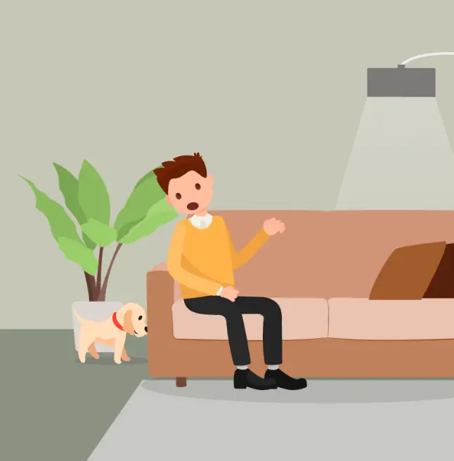 Tu perro sufre de depresión ? entérate acá!