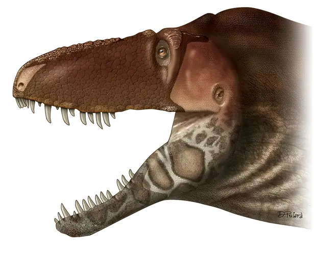 tiranosaurio tiranosaurio