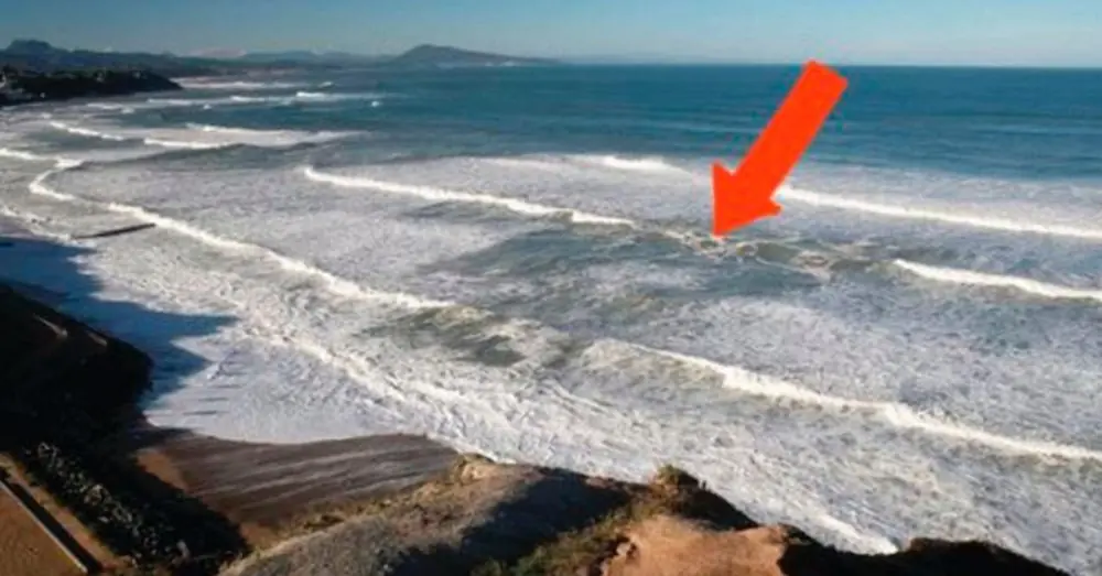 ¡Si ves esto en la playa debes tener mucho cuidado!