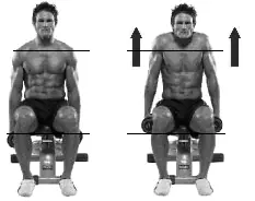 musculos