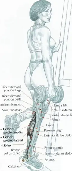biomecanica