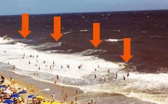 ¡Si ves esto en la playa debes tener mucho cuidado!