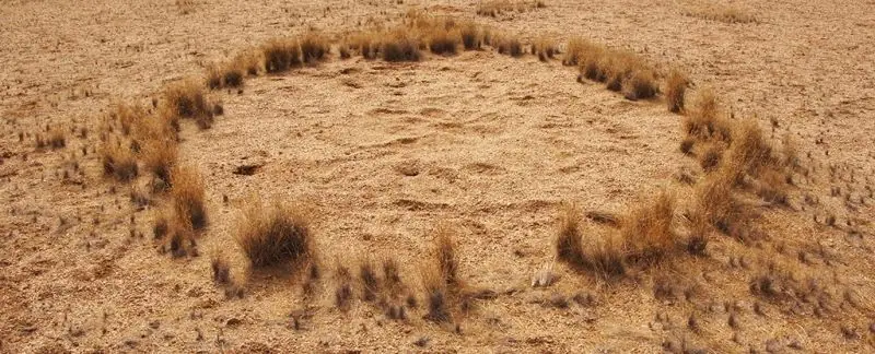 El misterio de los círculos de hadas de Namibia resuelto