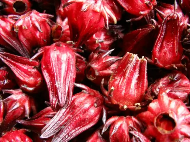 frutas frutas