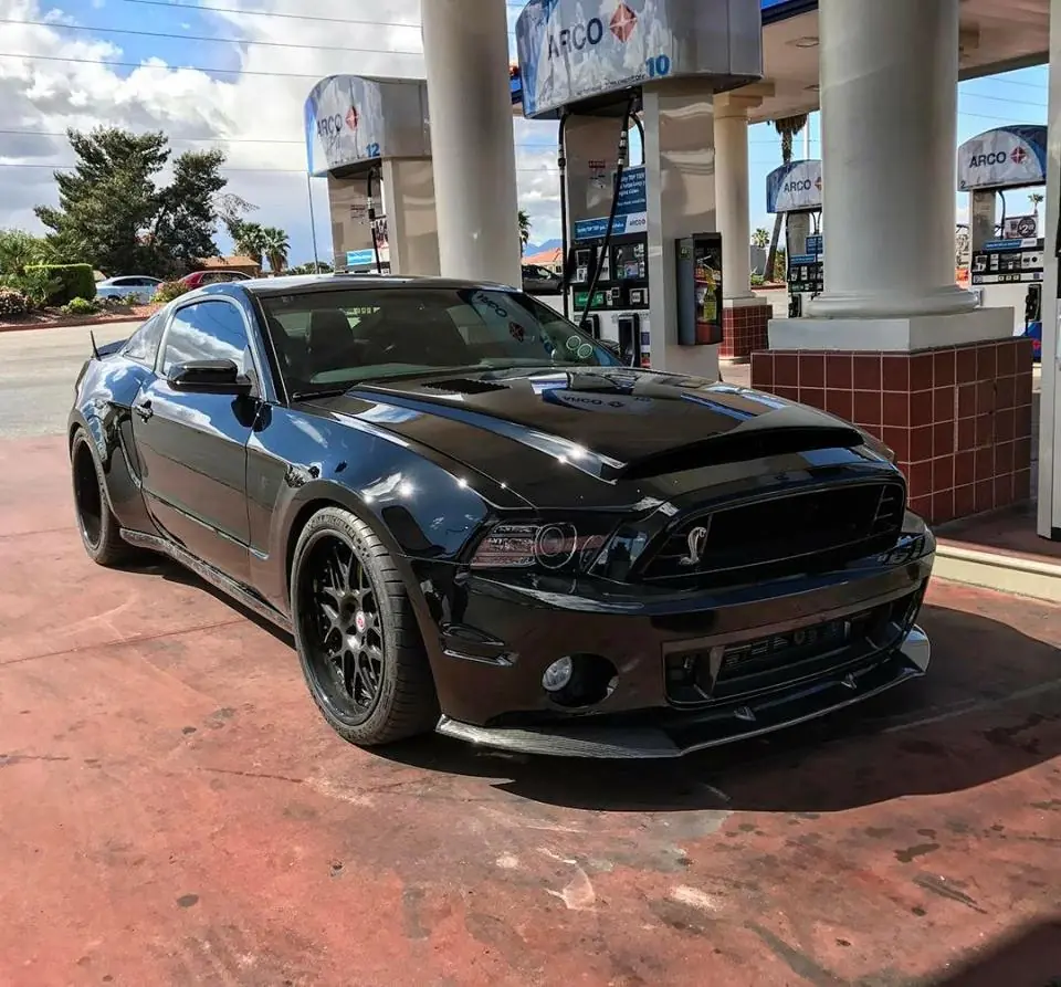 mustang