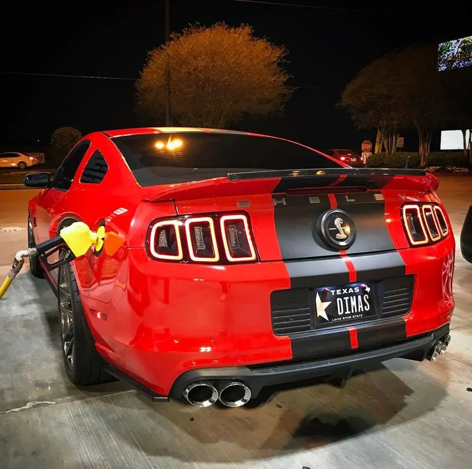 mustang