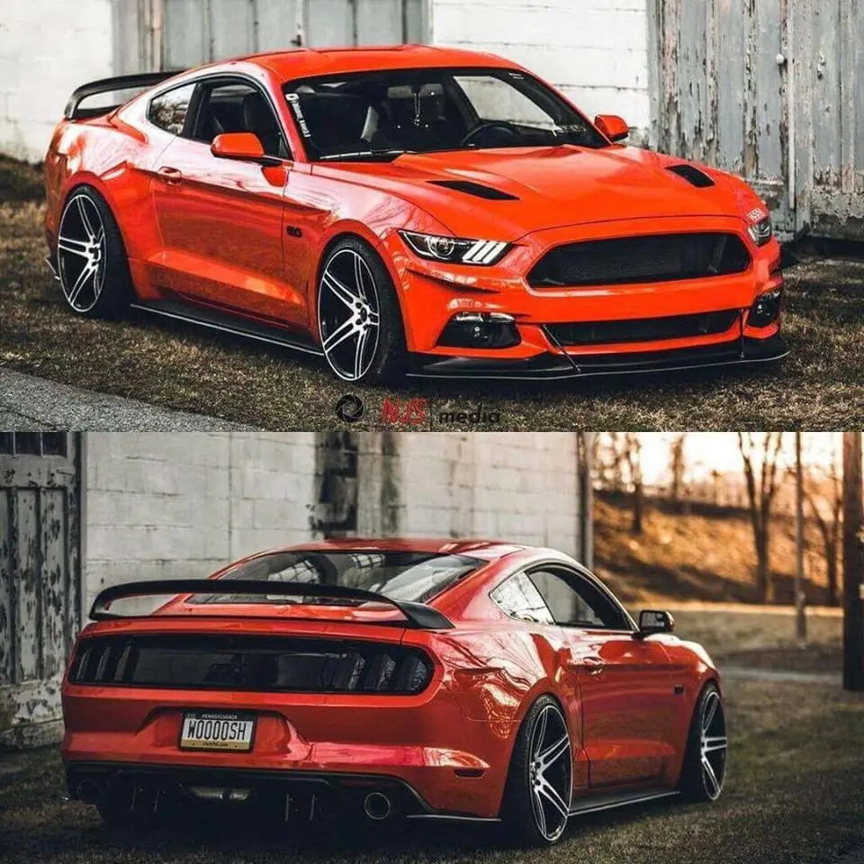 mustang
