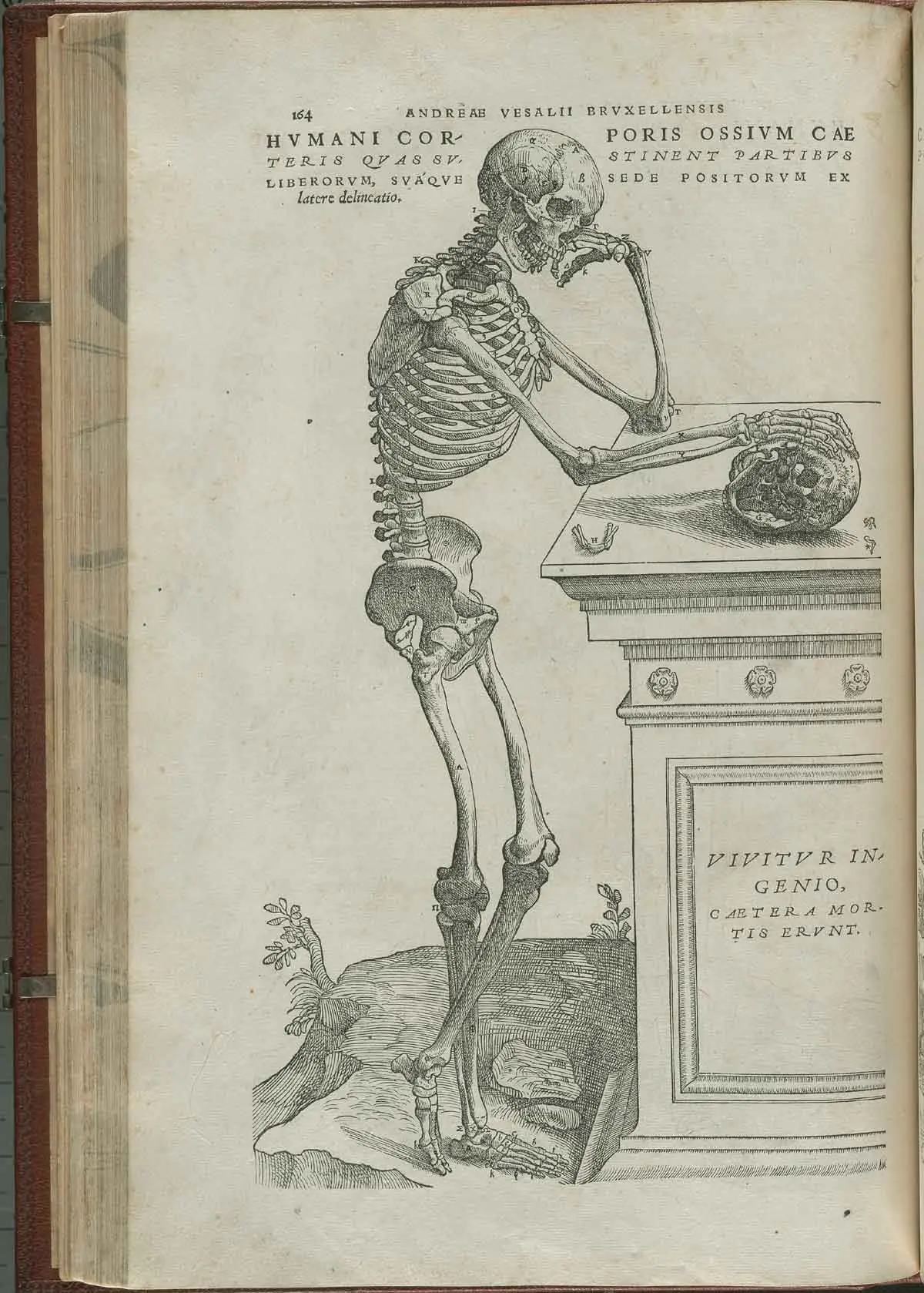 Libro 'De humani corporis fabrica' de Andres Vesalio 1543