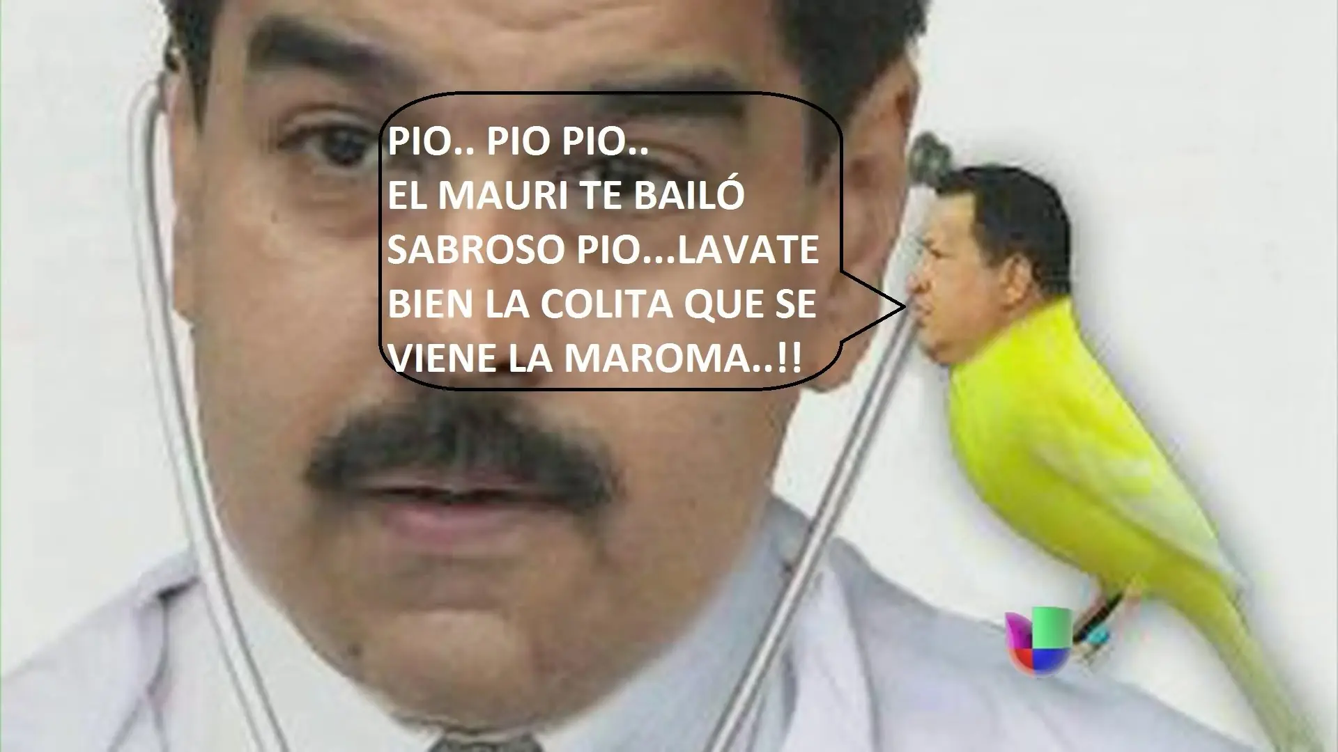 burro