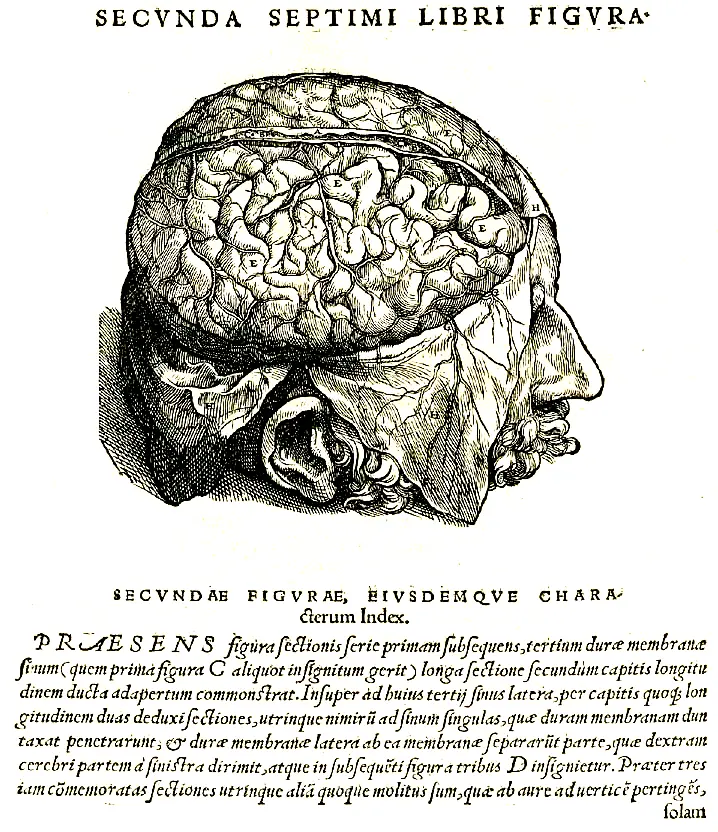 Vesalio Vesalio