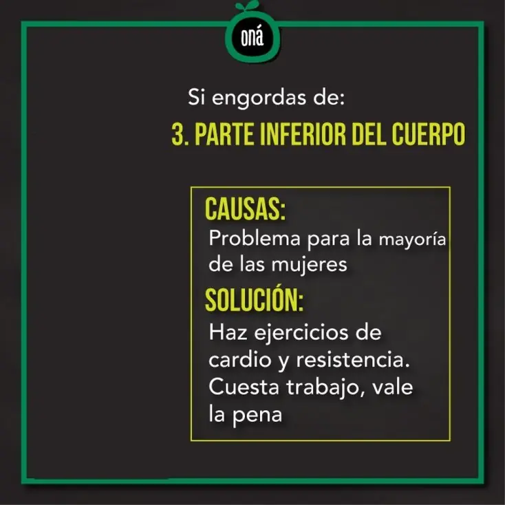 grasa