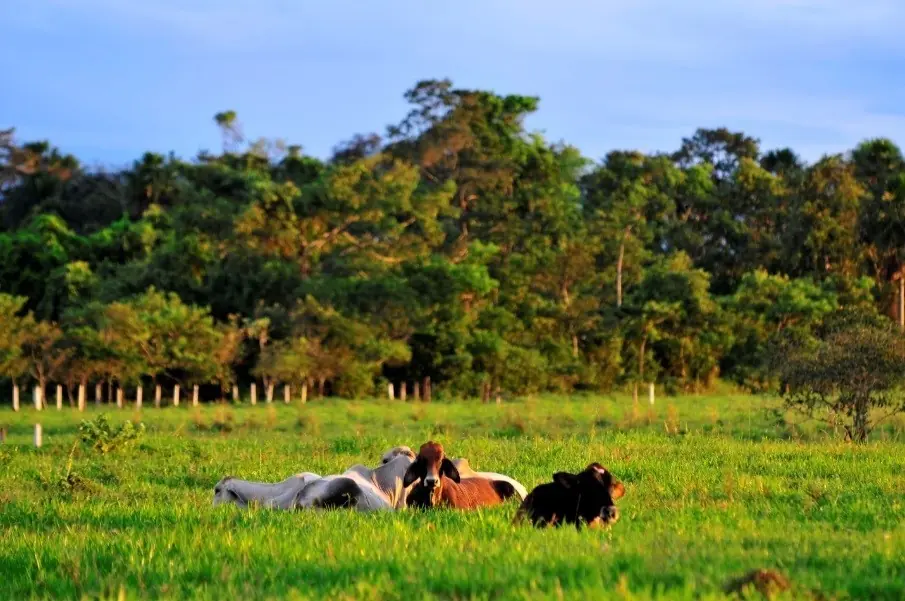 llanos orientales