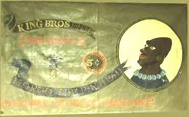 browning browning