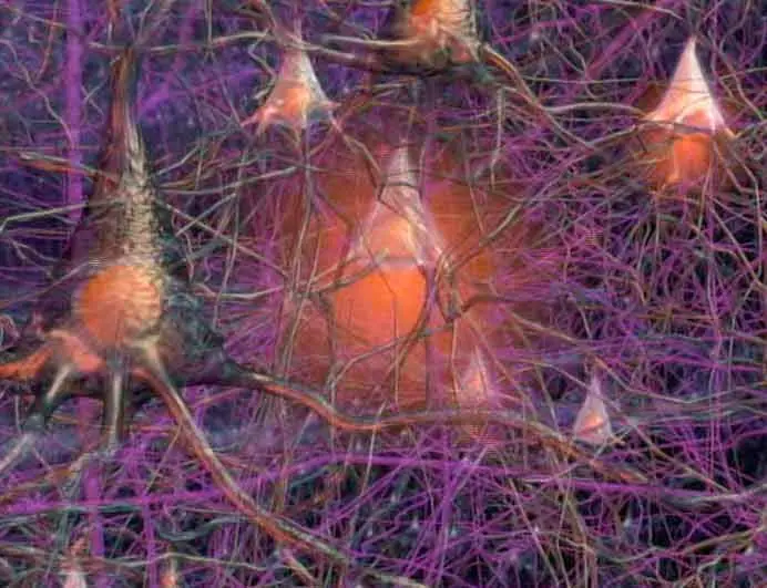 ¿Que es una Red Neuronal?