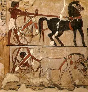 videos