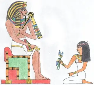imagenes