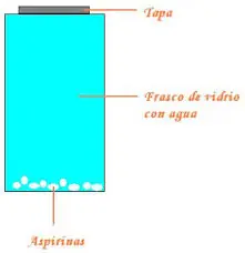 árbol