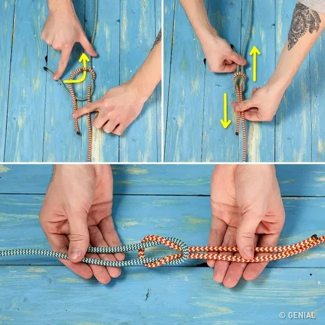 nudos