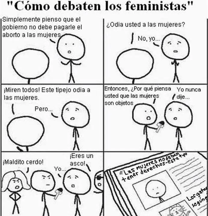 Logica feminista