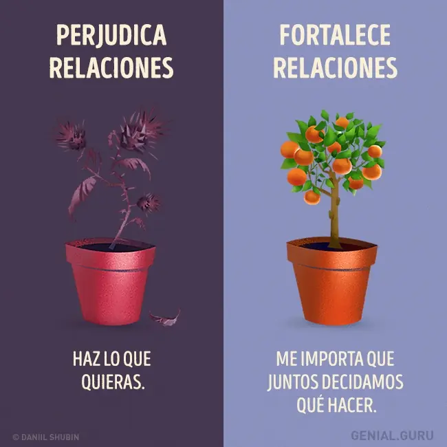 frases