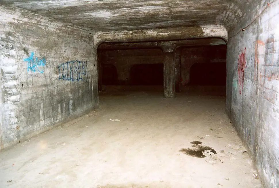 abandonados