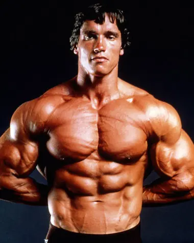 arnold arnold