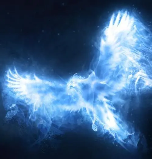 ave fenix ave fenix