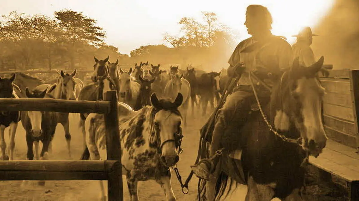 Mi Tio Manuel (Tucuman, historia de terror real)