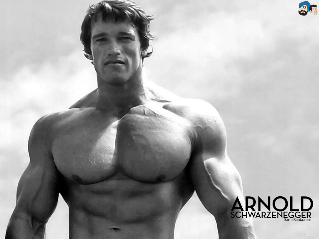 arnold arnold