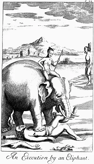 Aplastamiento por elefante