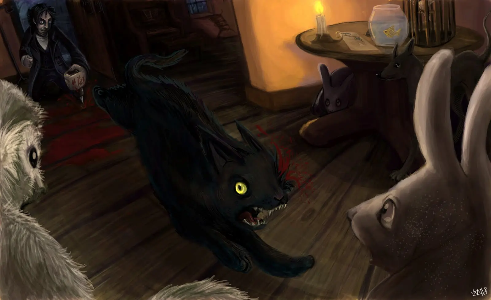 gato negro