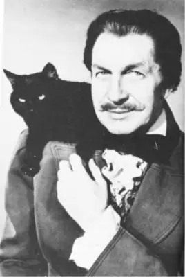 gato negro