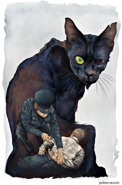 gato negro