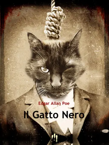 gato negro