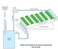 Como hacer un cultivo hidroponico en casa