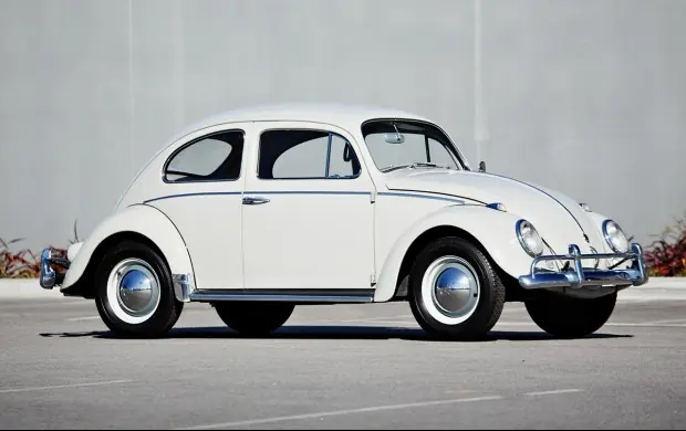 coches coches