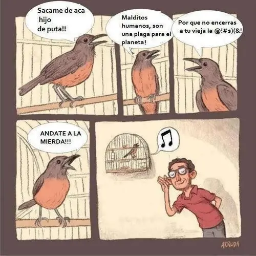 libertad