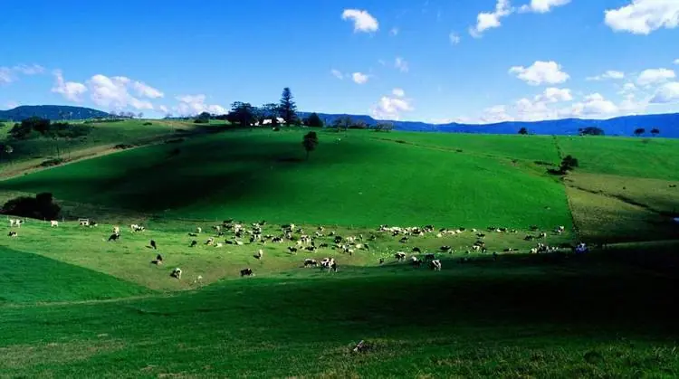 La "granja del incesto",