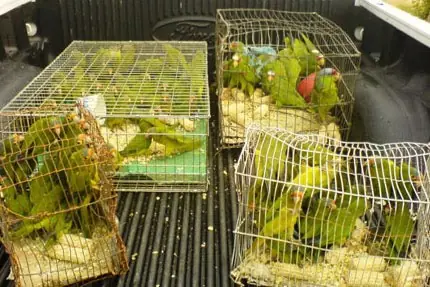 precaución