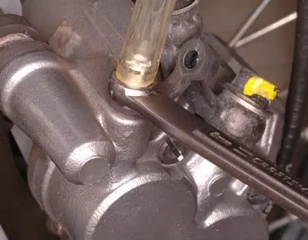 Suzuki yes Suzuki yes