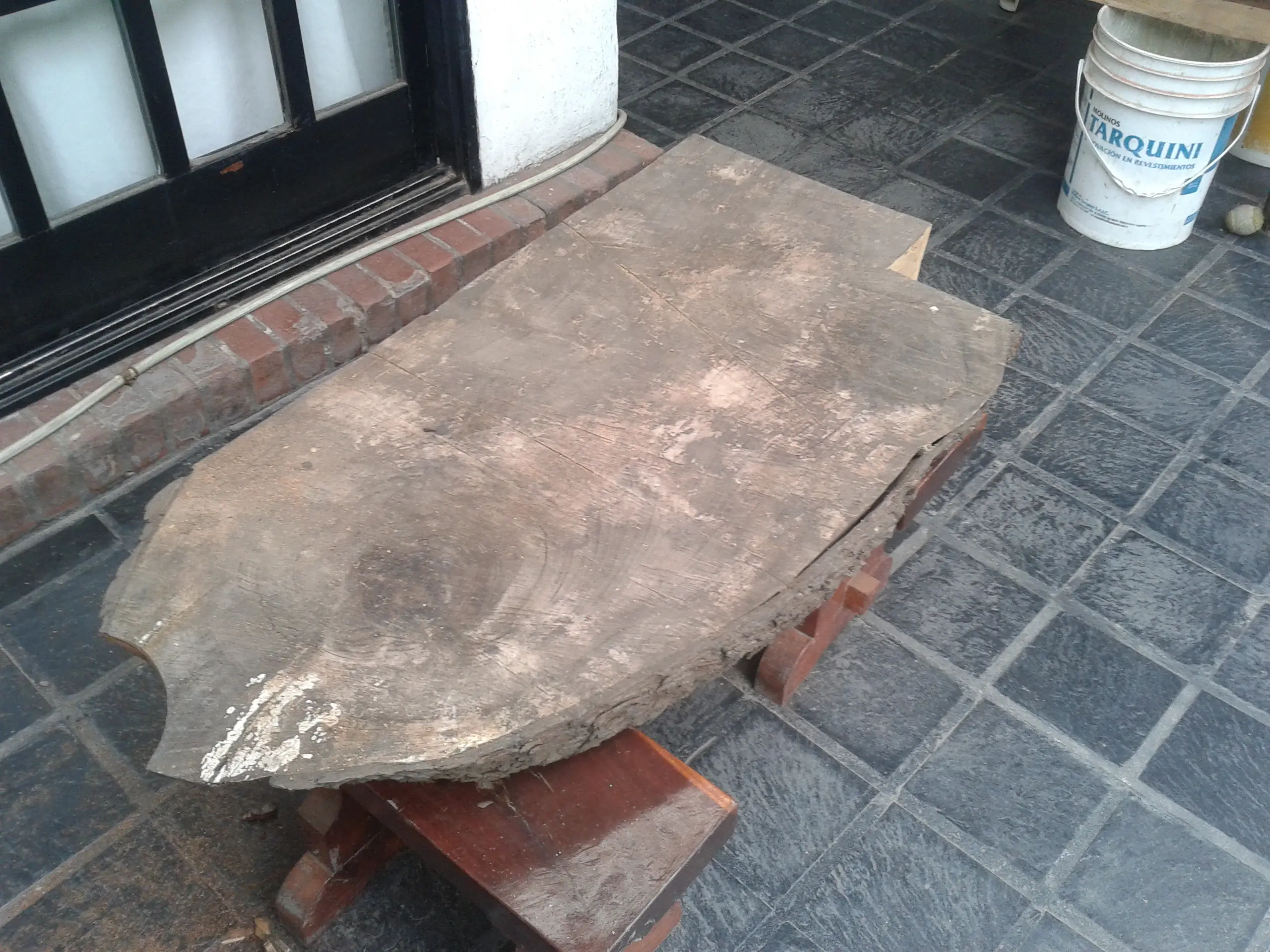 cedro
