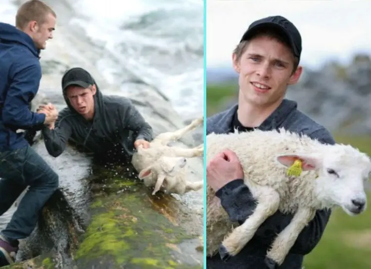 21 fotos e historias que tocarán tu corazón